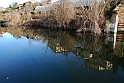 Avigliana Lago Grande In Inverno_038